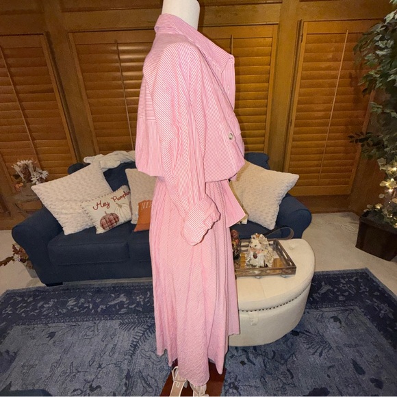 🌸 Free People Pink Striped Button-Front Shirt Dress‎ - Small, Old Money - Picture 5 of 13